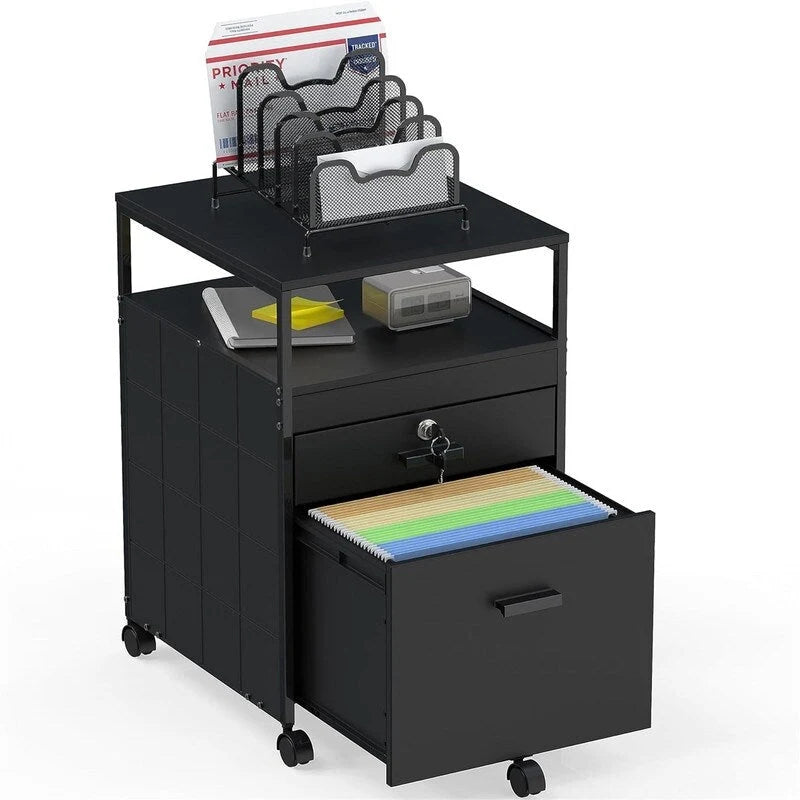 Rolling File Cabinet w/ 2 Drawers