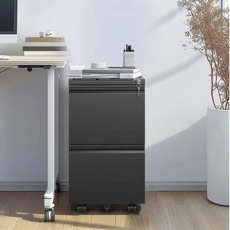2 Drawer Metal Mobile File Cabinet,Rolling File Cabinet with Lock for Hanging Legal/Letter/A4 Size